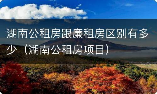 湖南公租房跟廉租房区别有多少（湖南公租房项目）