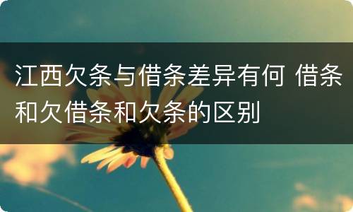 江西欠条与借条差异有何 借条和欠借条和欠条的区别