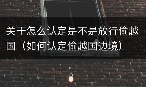 关于怎么认定是不是放行偷越国（如何认定偷越国边境）