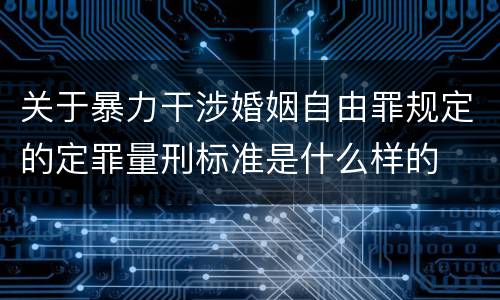 关于暴力干涉婚姻自由罪规定的定罪量刑标准是什么样的