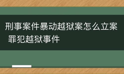 刑事案件暴动越狱案怎么立案 罪犯越狱事件