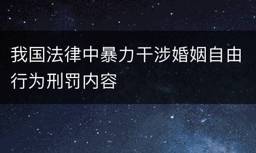 我国法律中暴力干涉婚姻自由行为刑罚内容