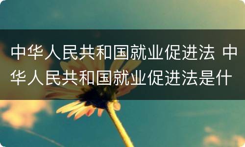 中华人民共和国就业促进法 中华人民共和国就业促进法是什么权