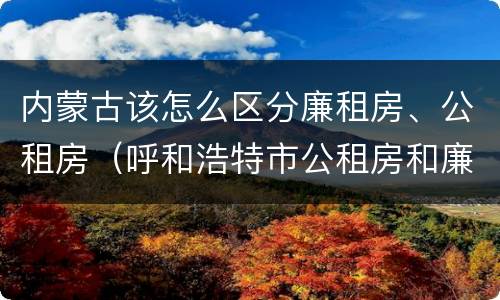 内蒙古该怎么区分廉租房、公租房（呼和浩特市公租房和廉租房的区别）