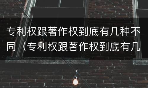 专利权跟著作权到底有几种不同（专利权跟著作权到底有几种不同之处）