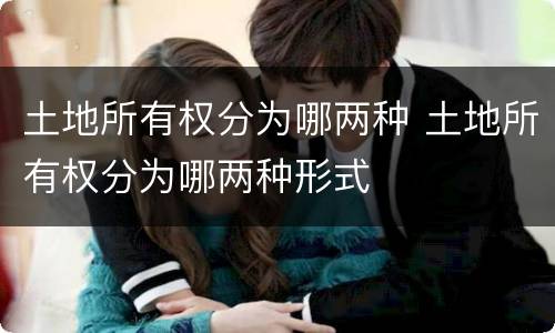 土地所有权分为哪两种 土地所有权分为哪两种形式