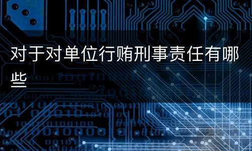对于对单位行贿刑事责任有哪些