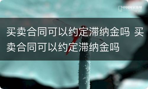 买卖合同可以约定滞纳金吗 买卖合同可以约定滞纳金吗