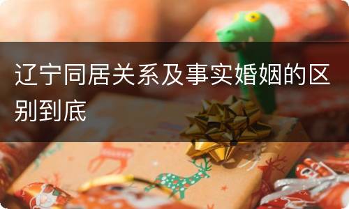 辽宁同居关系及事实婚姻的区别到底