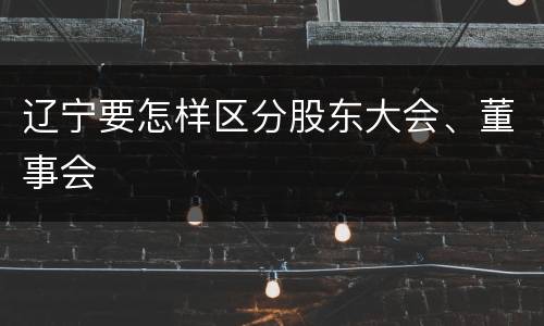辽宁要怎样区分股东大会、董事会