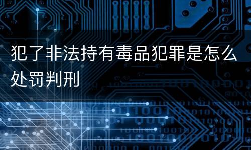 犯了非法持有毒品犯罪是怎么处罚判刑