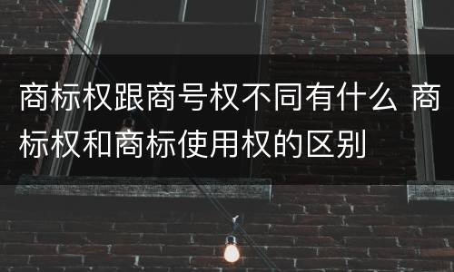 商标权跟商号权不同有什么 商标权和商标使用权的区别