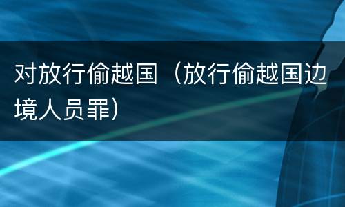 对放行偷越国（放行偷越国边境人员罪）