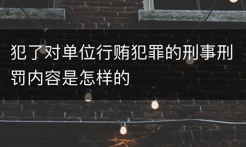 犯了对单位行贿犯罪的刑事刑罚内容是怎样的