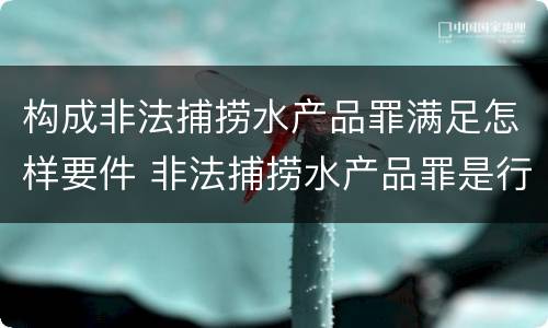 构成非法捕捞水产品罪满足怎样要件 非法捕捞水产品罪是行为犯吗