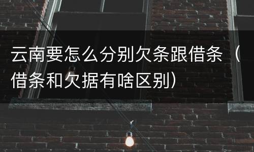 云南要怎么分别欠条跟借条（借条和欠据有啥区别）