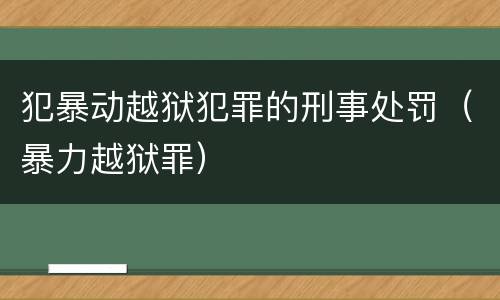 犯暴动越狱犯罪的刑事处罚（暴力越狱罪）