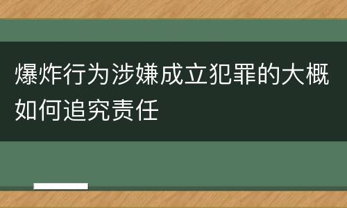 爆炸行为涉嫌成立犯罪的大概如何追究责任
