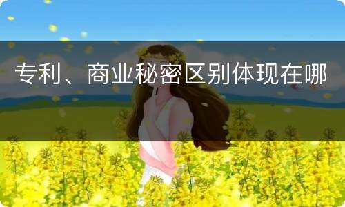 专利、商业秘密区别体现在哪