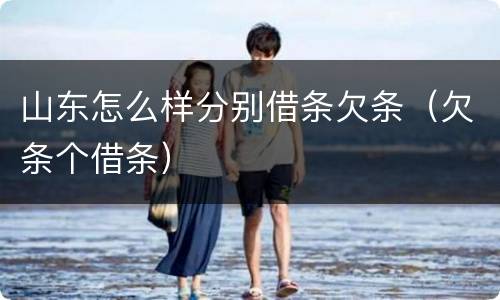 山东怎么样分别借条欠条（欠条个借条）