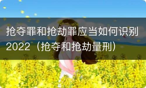 抢夺罪和抢劫罪应当如何识别2022（抢夺和抢劫量刑）
