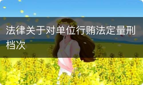 法律关于对单位行贿法定量刑档次