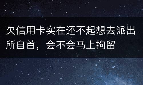 欠信用卡实在还不起想去派出所自首，会不会马上拘留