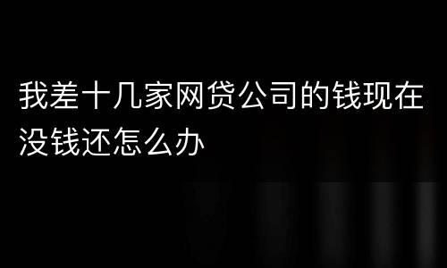 我差十几家网贷公司的钱现在没钱还怎么办
