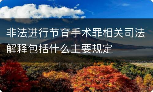 非法进行节育手术罪相关司法解释包括什么主要规定
