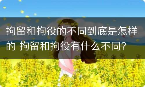 拘留和拘役的不同到底是怎样的 拘留和拘役有什么不同?