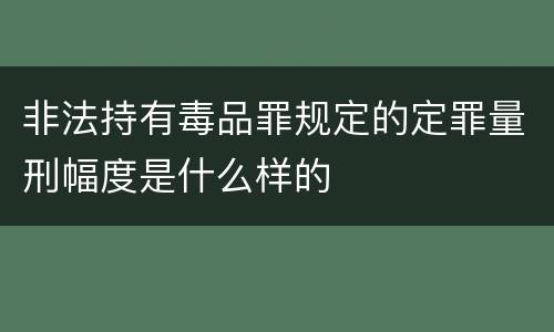 非法持有毒品罪规定的定罪量刑幅度是什么样的