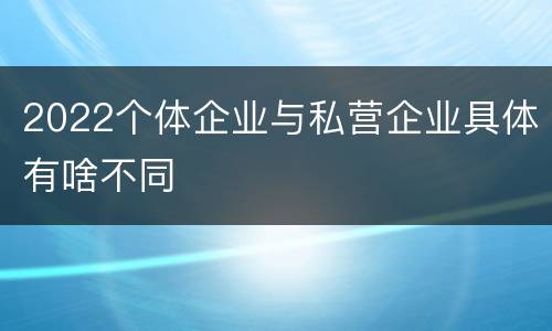 2022个体企业与私营企业具体有啥不同