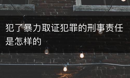 犯了暴力取证犯罪的刑事责任是怎样的