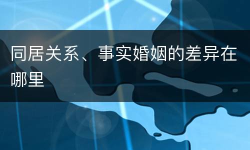 同居关系、事实婚姻的差异在哪里