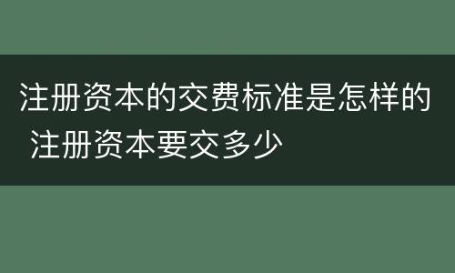 注册资本的交费标准是怎样的 注册资本要交多少