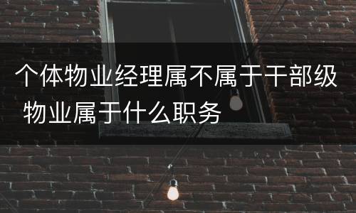 个体物业经理属不属于干部级 物业属于什么职务