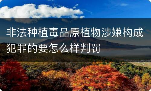 非法种植毒品原植物涉嫌构成犯罪的要怎么样判罚