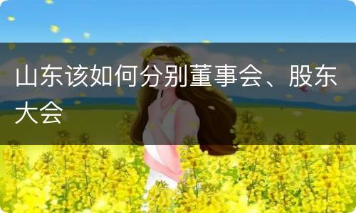 山东该如何分别董事会、股东大会