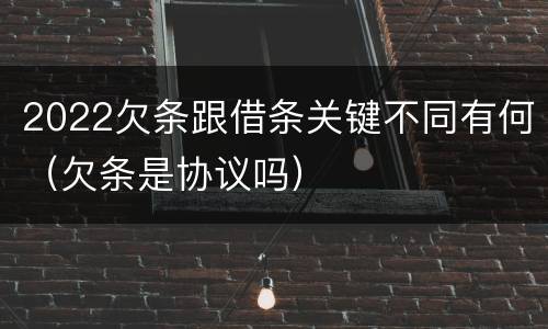 2022欠条跟借条关键不同有何（欠条是协议吗）