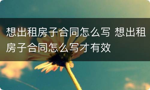 想出租房子合同怎么写 想出租房子合同怎么写才有效