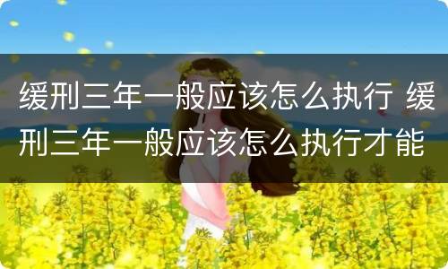 缓刑三年一般应该怎么执行 缓刑三年一般应该怎么执行才能减刑