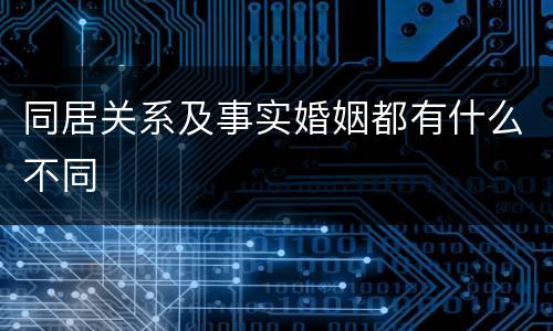 同居关系及事实婚姻都有什么不同