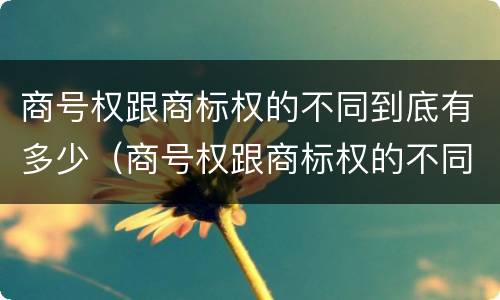 商号权跟商标权的不同到底有多少（商号权跟商标权的不同到底有多少个）