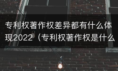 专利权著作权差异都有什么体现2022（专利权著作权是什么意思）