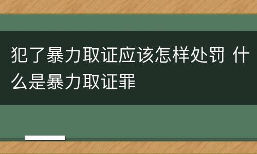 犯了暴力取证应该怎样处罚 什么是暴力取证罪