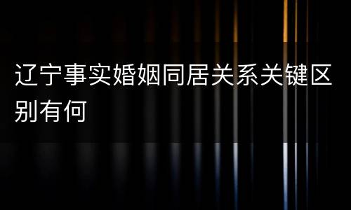 辽宁事实婚姻同居关系关键区别有何