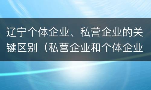 辽宁个体企业、私营企业的关键区别（私营企业和个体企业的区别）