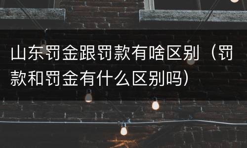 山东罚金跟罚款有啥区别（罚款和罚金有什么区别吗）
