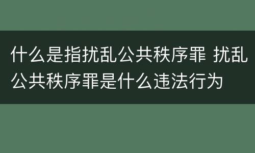 什么是指扰乱公共秩序罪 扰乱公共秩序罪是什么违法行为