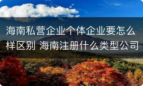 海南私营企业个体企业要怎么样区别 海南注册什么类型公司好
